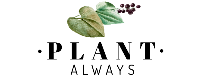 plantalways.com